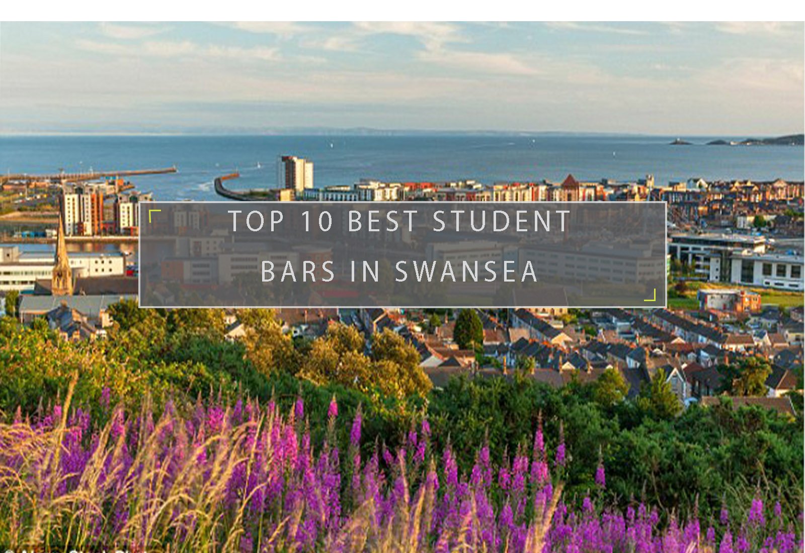 Student bars in Swansea