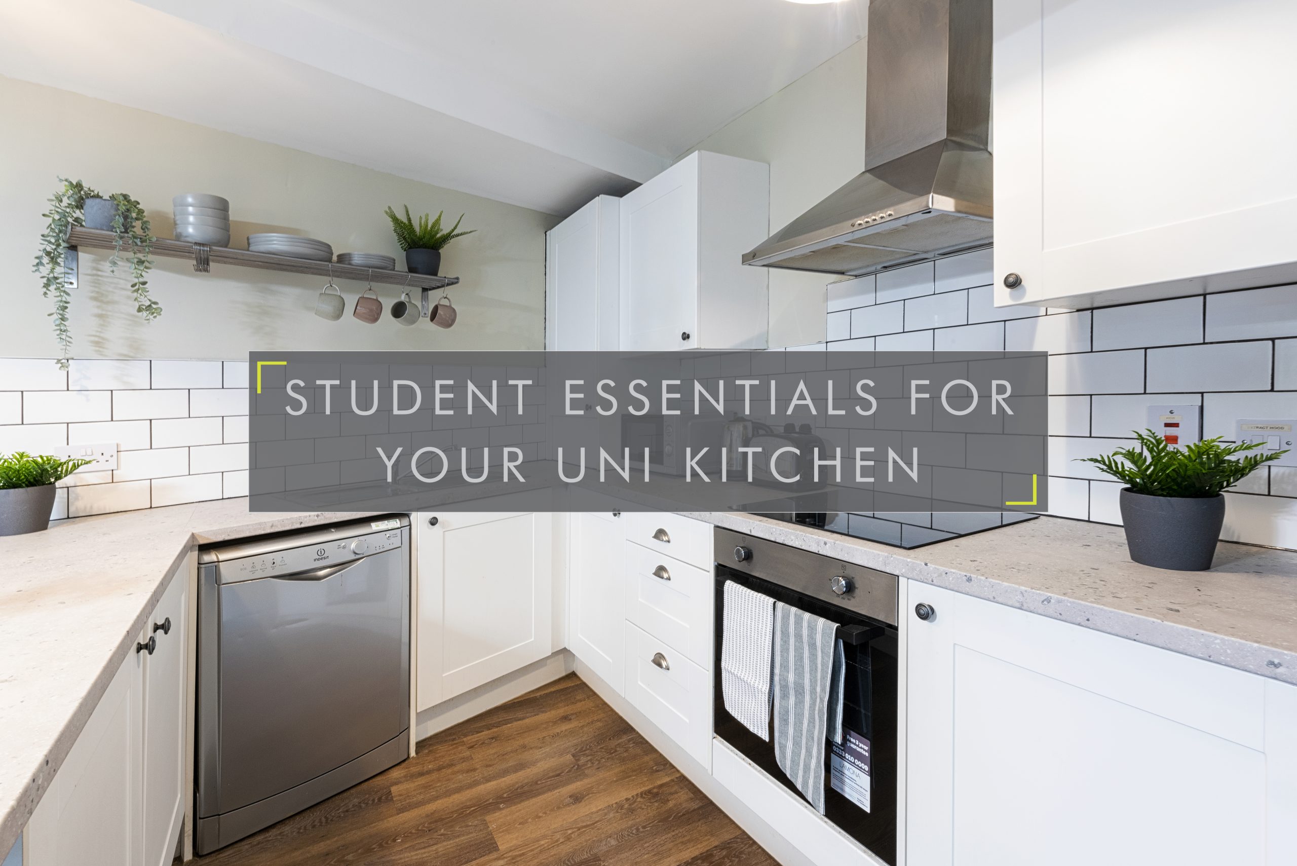 Best student kitchen essentials to take to university this year